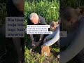 Jaaninädala edenedes oli pesas juba viis pardipoega!🦆