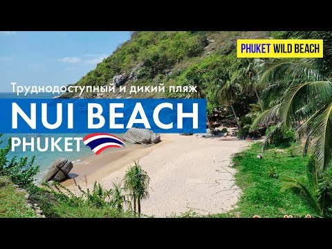 Забрели на дикий