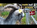 Denmark ke park | Parks in Denmark | PART-2