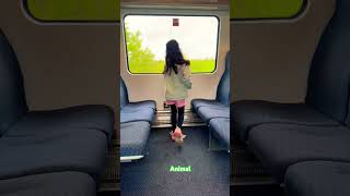 Animal / Celin Rose Sijoy / dance videos / latest hits #Trendingvideos #shorts #Reels / animal song