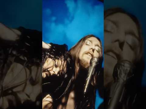 You asked for it ✌️🍄😎 Finally…The infamous Amorica. Mushroom Party is now up on YouTube. #shorts