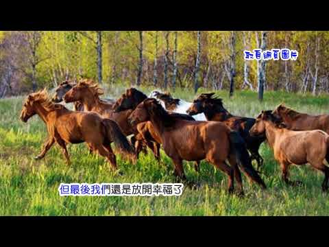 王宏恩-你說你不快樂  (國  歌詞)