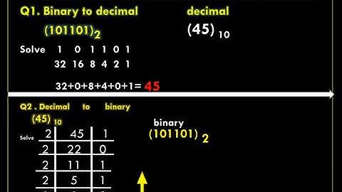 Types of Number System Conversion 🔄 | #shortsBinary to Decimal Conversion | Easy Trick #shorts