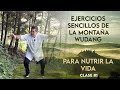 Ejercicios sencillos de la Montaña Wudang para nutrir la vida (Tai Yi Wu Xing Yang Sheng Gong) # 1