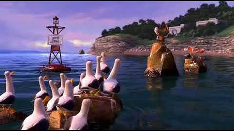 Gaviotas nemo moin moin