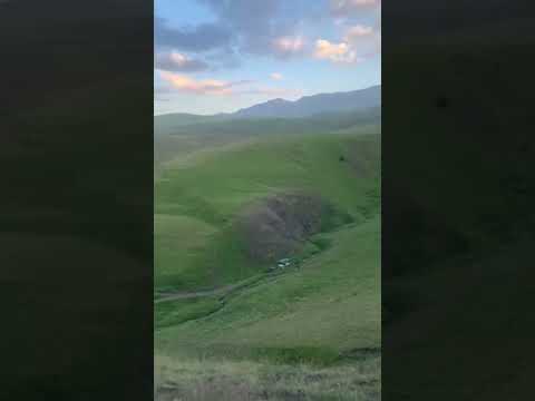 Видео Квардал
