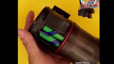 Dophin AF013 - Tutorial from Shamim Aquatic