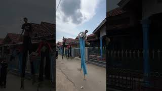 Kaki panjang atraksiii