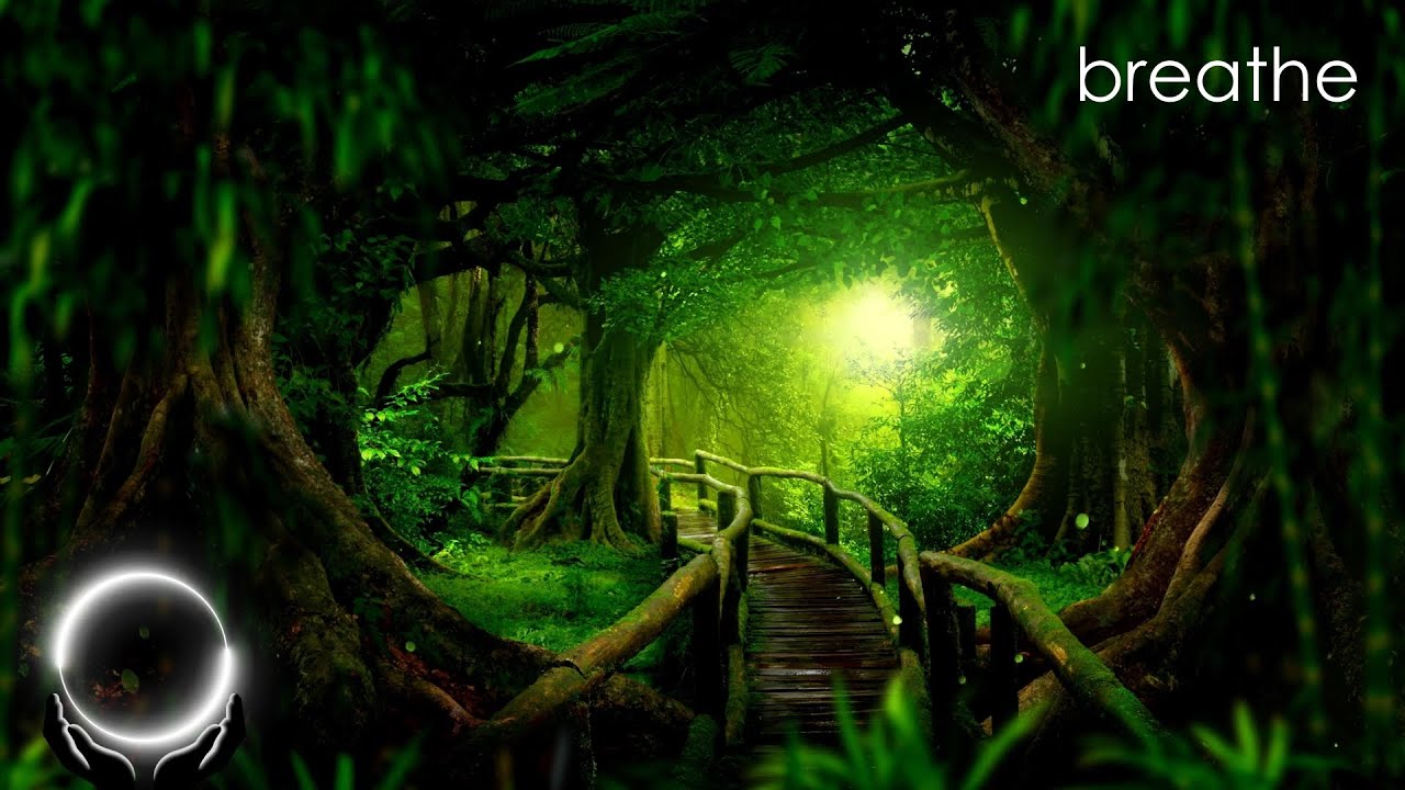 Watch Sleepify - Breathe | Instrumental Piano Music on YouTube Watch Sleepify - Breathe | Instrumental Piano Music on YouTube