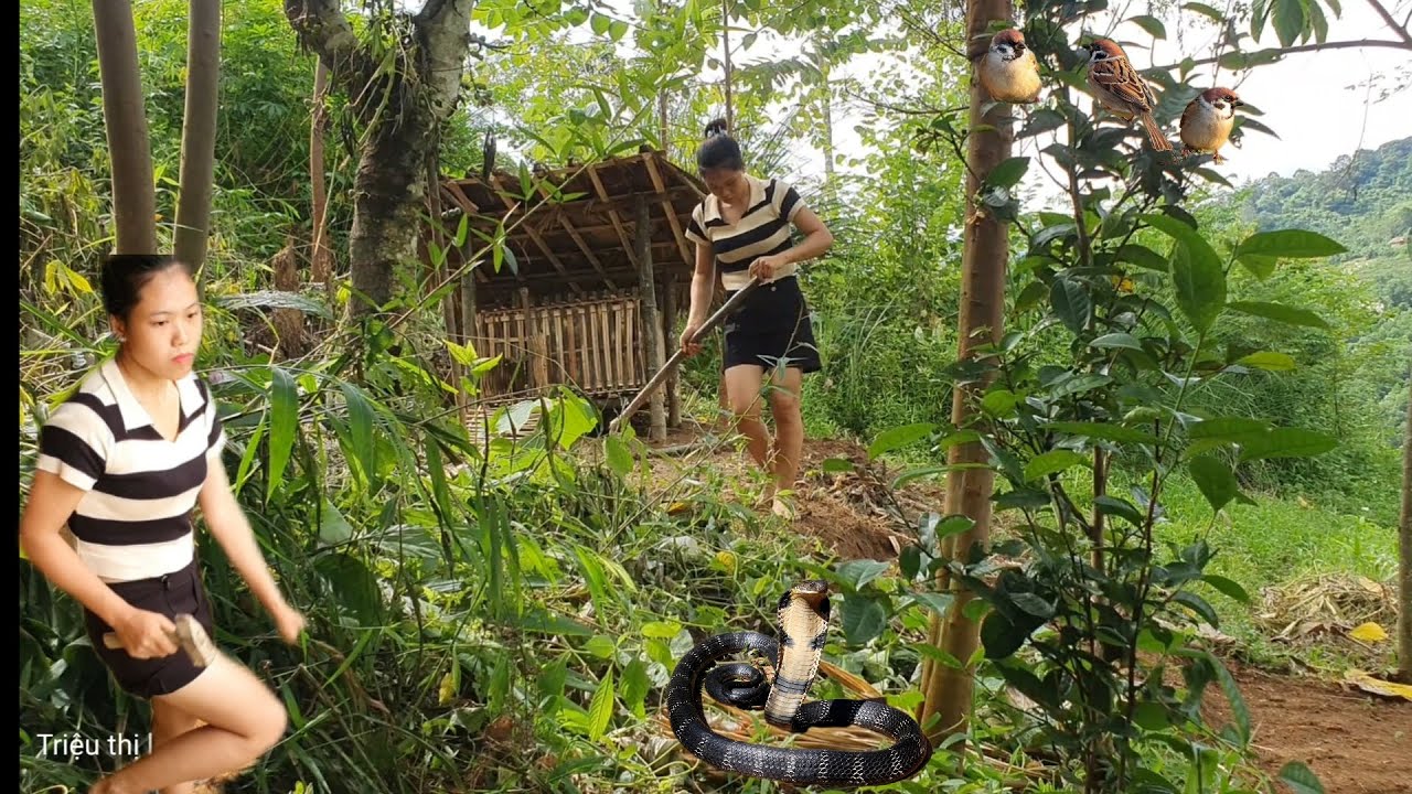 Full video: 30 days of building a house in the forest and building a ...