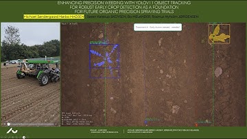 NJF 2024 - ENHANCING PRECISION WEEDING WITH YOLOV11 OBJECT TRACKING FOR ROBUST EARLY CROP DETECTION