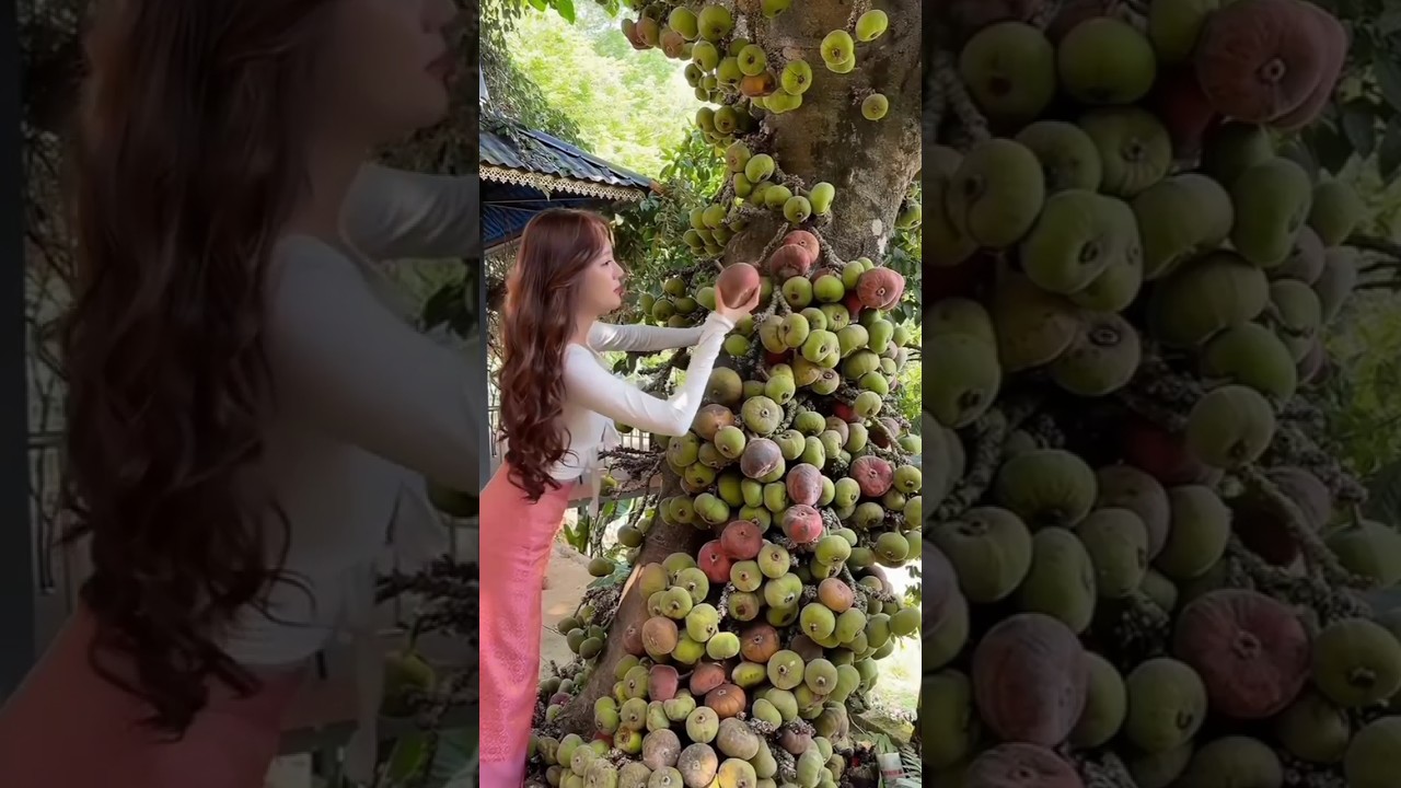 It’s time to pick fruits, the fruity smell is fragrant. Do you have any fruits you like? Bannafruits