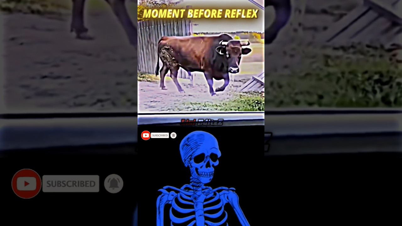 #edit