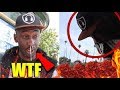 GHOST CHILLI PEPPERS GONE WRONG!! (PAYING PEOPLE TO EAT WORLDS HOTTEST PEPPER!)