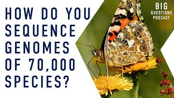 How do you sequence the genomes of 70,000 species?