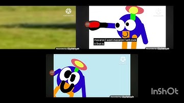 Pingoo Bird Special All Episodies 