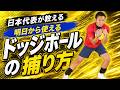 【ドッジボール基本の捕り方】ボールの捕り方編!日本代表主将が教えるボールの正しい捕り方②(最新版)