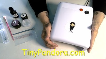 Something New for You from Tiny Pandora