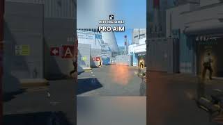 pro aim #funny #cs2