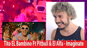 Reaction Video - Tito EL Bambino Ft. Pitbull & El Alfa - Imagínate