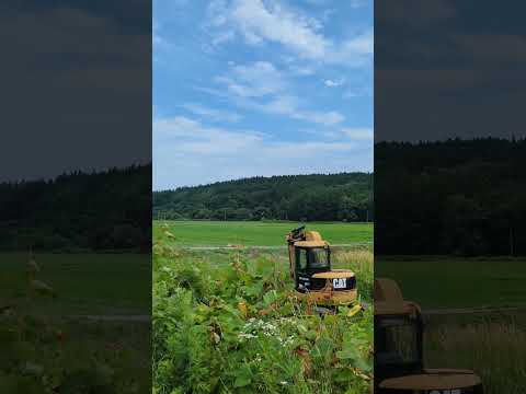 青森県五戸町