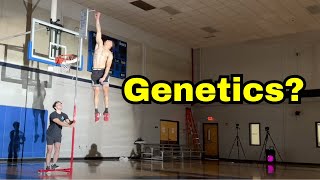 Can You Really Improve Your Vertical Jump With Training, Not Genetics?