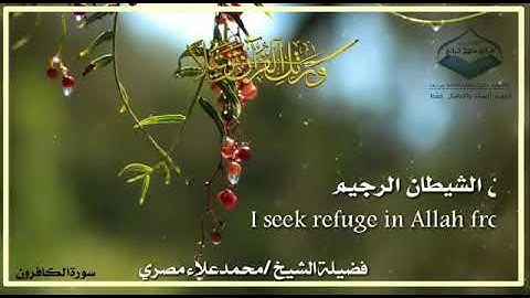 سورة الكافرين الشيخ محمد علاء مصري