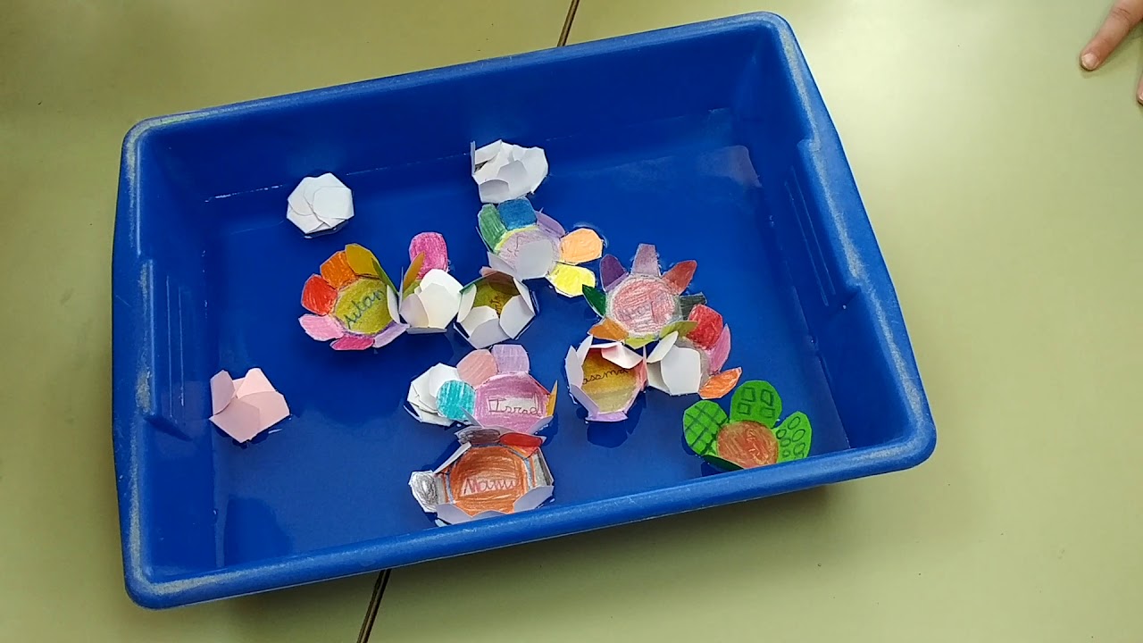 Experimento.Flores de papel. ¿Por qué florecen en el agua? - YouTube