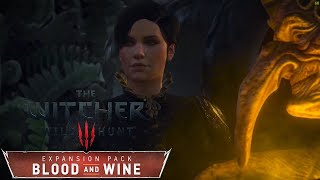 The Witcher 3 Wild Hunt - Part 192 - We're in fairytale land.