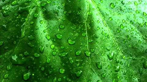 تلاوه موثره : عادل الكلباني