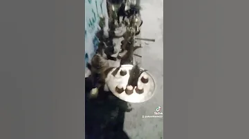 يا شوفتن شفتها تقولللحمام تيعا من ام الفحم نشتري 