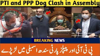 Tough Boys of Sindh Provincial Assembly | PTI vs PPP | Sharjeel Memon and Aleem Adil Sheikh