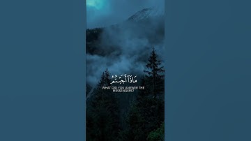 سورة القصص : محمد اللحيدان