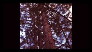 Selami Şahin Feat Kadir Kaygısız