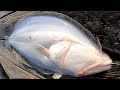 HOW TO THROW A CAST NET EASY &amp; Fluke (Summer Flounder) Fishing the Pier Rip with Bait