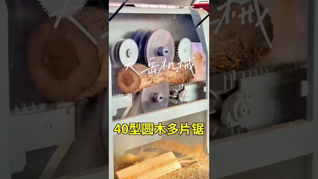 Wood processing factory 