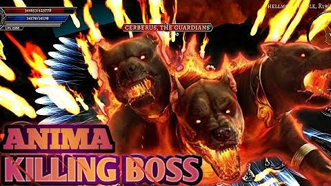 Anima - Killing Boss Cerberus The Guardian