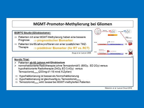 MGMT-Promotor-Methylierung bei Gliomen | Strahlentherapie Prof. Hilke Vorwerk
