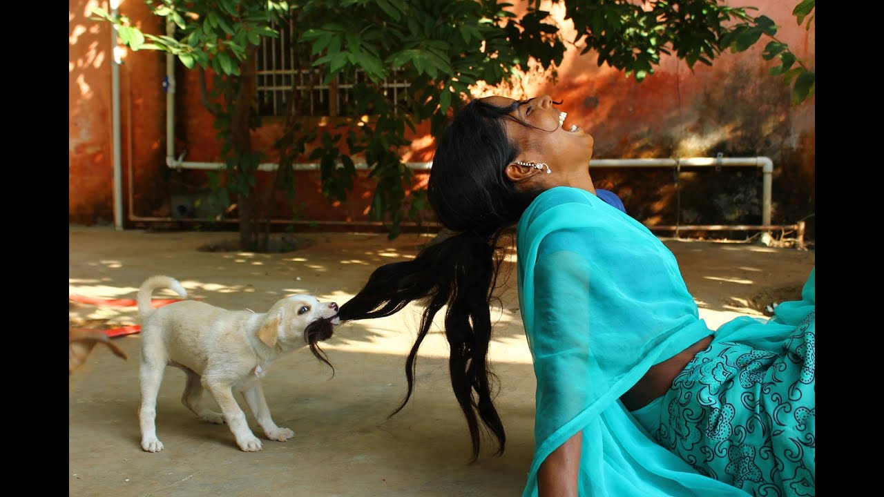 Animal Aid India is one of world's most successful animal rescue and  rehabilitation organizations – Leo Sigh