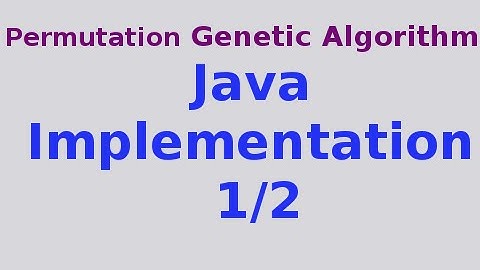 Genetic Algorithms 29/30: Full Java Implementation of Permutation GA 1/2
