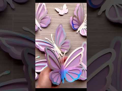 🎬 Video relacionado con marcos de mariposas