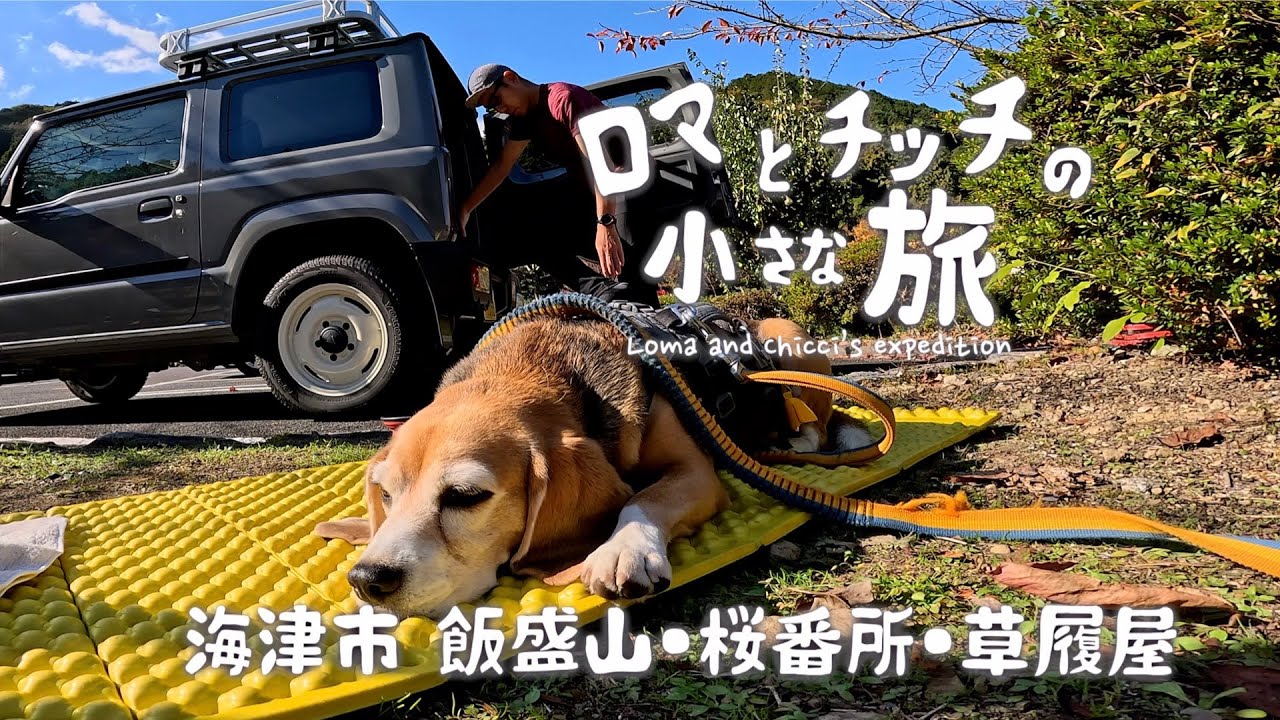 【飯盛山・桜番所・草履屋】ビーグルのくんくん探知機大活躍！草履屋に草履屋さんはあるのか？