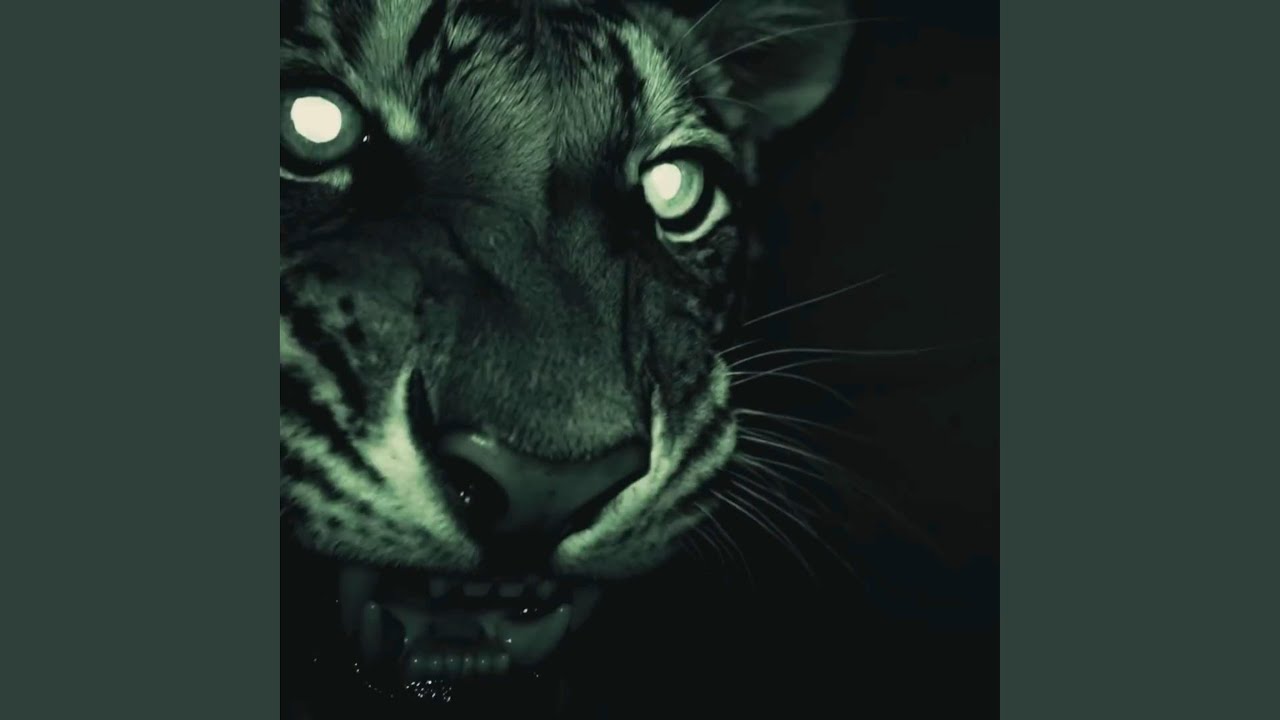 go adlı videoyu YouTube'da izle go adlı videoyu YouTube'da izle