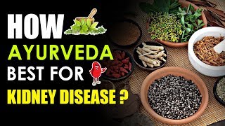 How Ayurveda is the only Solution in Kidney Disease ? | Kidney Expert and Treatment |