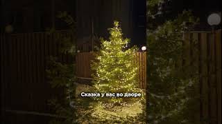 Сказка у вас во дворе