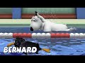 Bernard Bear | Fast Swim AND MORE | Cartoons for Children | Full Episodes