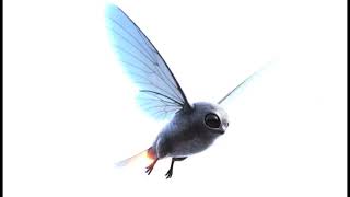 ⚪️Dragon Meditation : IAP [Identified Aerial Phenomena ]