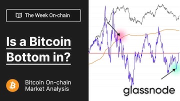 The Week On-chain: Is a Bitcoin Bottom in? - Week 6, 2022 (Bitcoin Onchain Analysis)