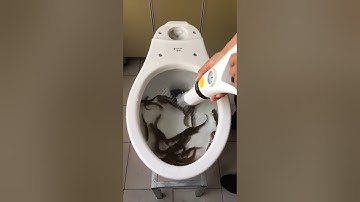 Dụng cụ thông bồn cầu toilet bị tắc nghẽn bằng ống hơi cực mạnh, có đồng hồ áp suất...