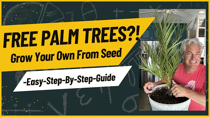Free Palm Trees?!  Grow Your Own From Seed. -Easy-Step-By-Step-Guide
